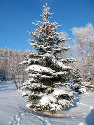 Similar image 520948