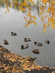 Similar image 521006