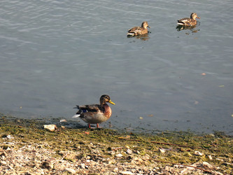 Similar image 521009