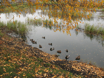 Similar image 521010