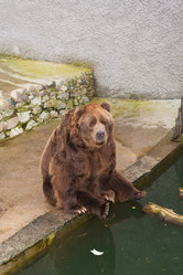 Similar image 521039