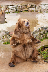 Similar image 521041