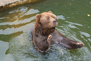 Similar image 521044