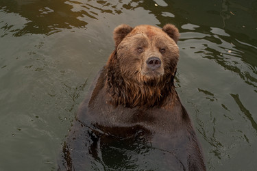 Similar image 521045