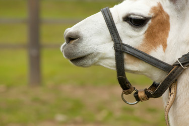 Similar image 521076