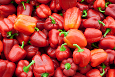 Similar image 521084