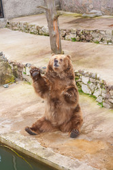 Similar image 521116