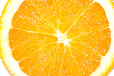 Similar image 521121