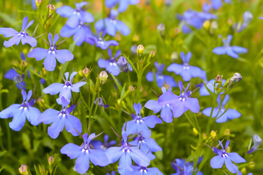 Similar image 521125