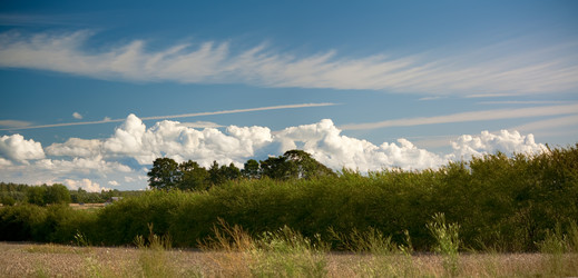 Similar image 521129