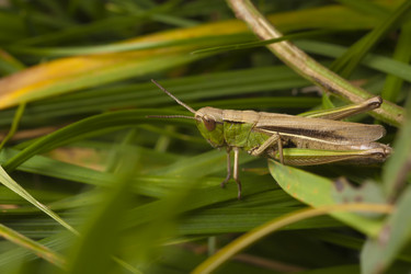 Similar image 521136