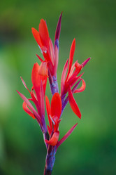 Similar image 521145