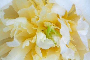 Similar image 521146