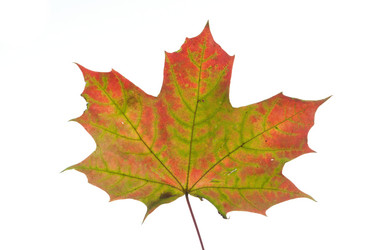 Similar image 521210