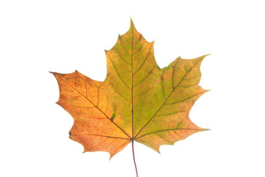 Similar image 521213