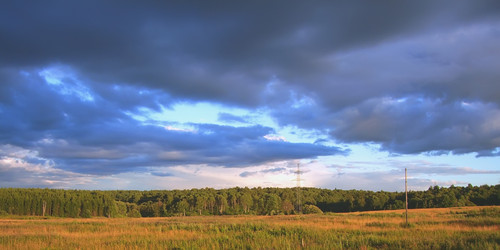 Similar image 521244