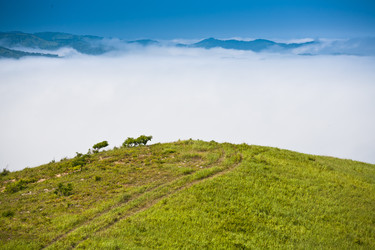 Similar image 521251