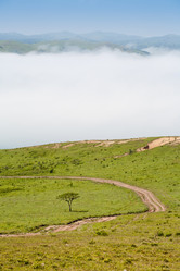 Similar image 521252