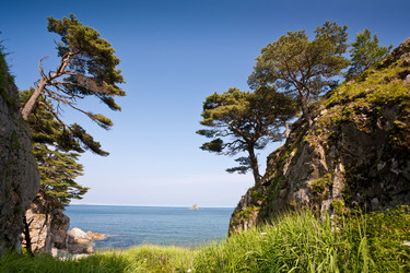 Similar image 521254