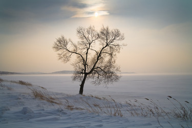 Similar image 521266