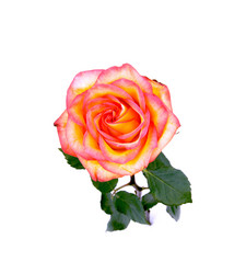 Similar image 521280