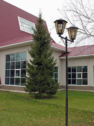 Similar image 521288