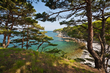 Similar image 521316