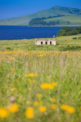 Similar image 521320