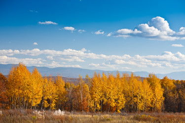 Similar image 521324