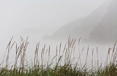 Similar image 521330