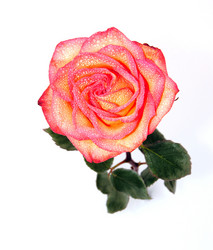 Similar image 521334