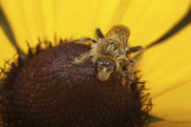 Similar image 521345