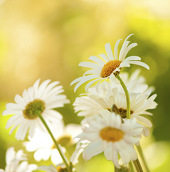 Similar image 521370