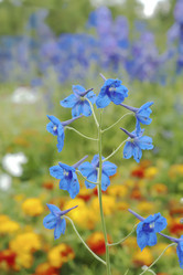 Similar image 521390