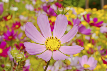 Similar image 521391