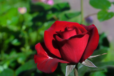 Similar image 521401