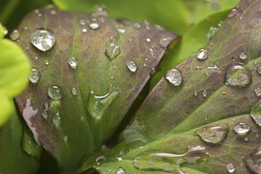 Similar image 521406