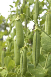 Similar image 521408