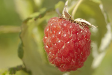 Similar image 521410