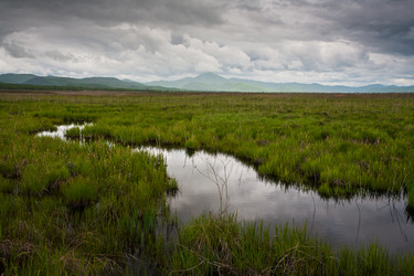 Similar image 521413