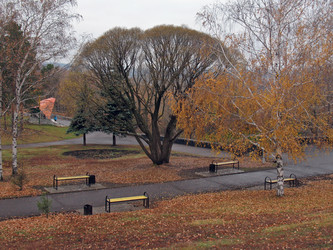 Similar image 521431