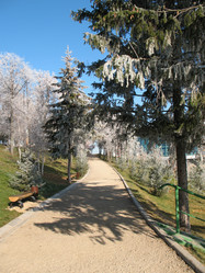 Similar image 521437