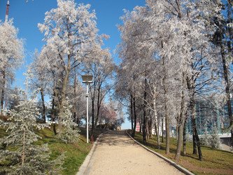 Similar image 521439