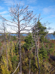 Similar image 521442