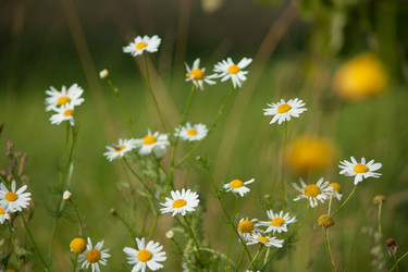 Similar image 521463