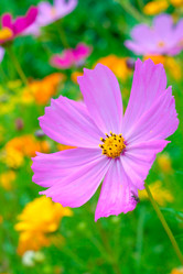 Similar image 521472