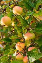 Similar image 521474