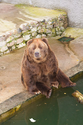 Similar image 521509