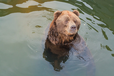 Similar image 521512