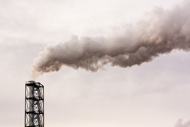 Similar image 521521